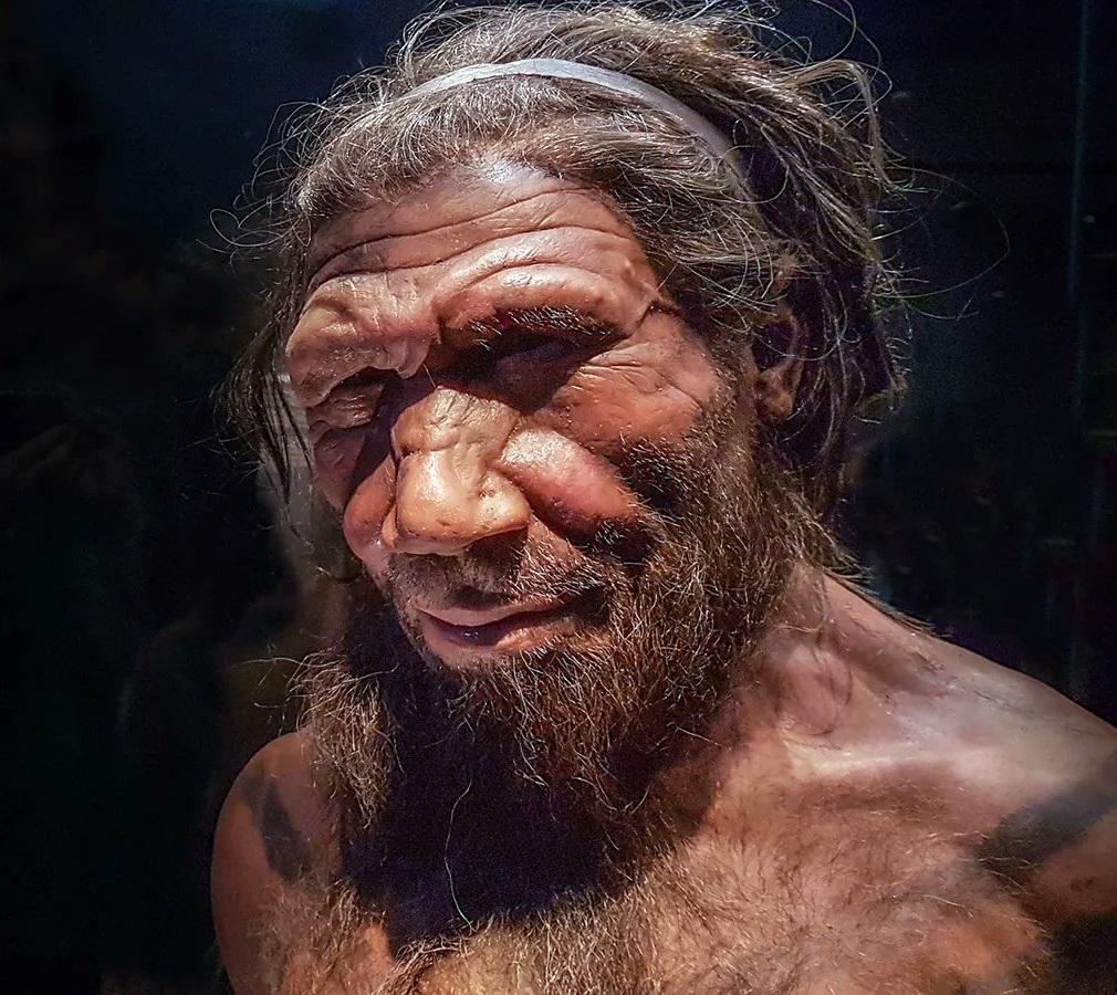 Neanderthals: Savage or close cousin? - The Universal Story